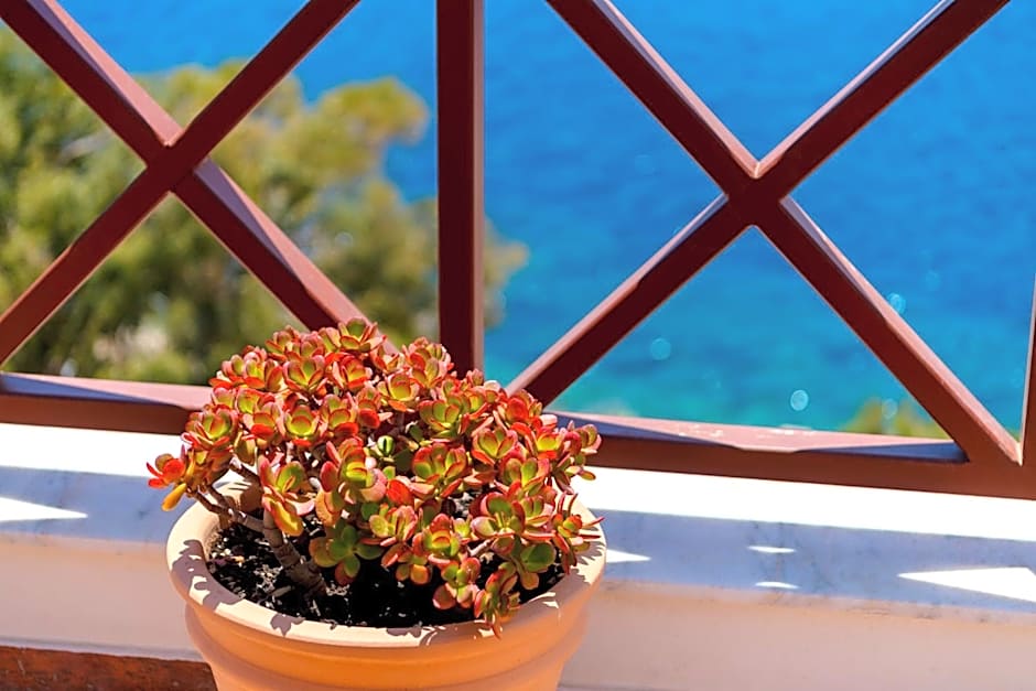 Electra Syros - Adults Only