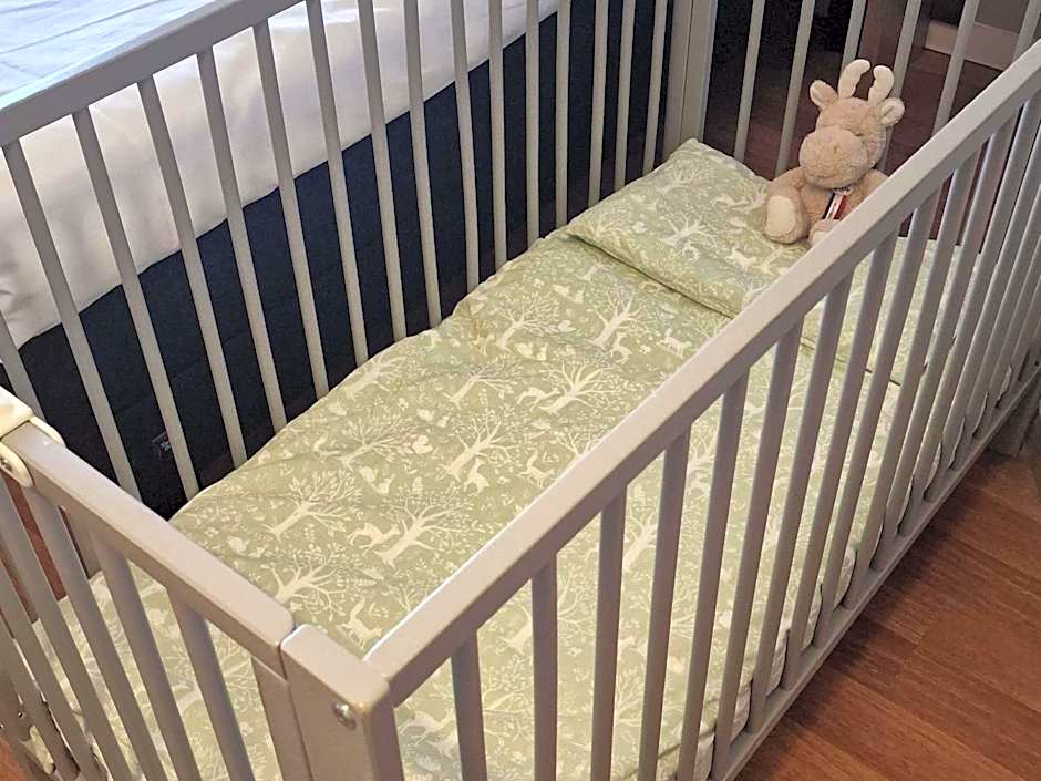 Ibis budget Dijon Centre Clemenceau