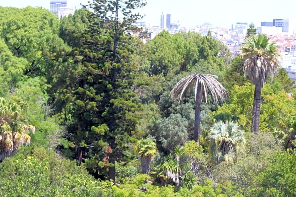 Botanic Views Guest House