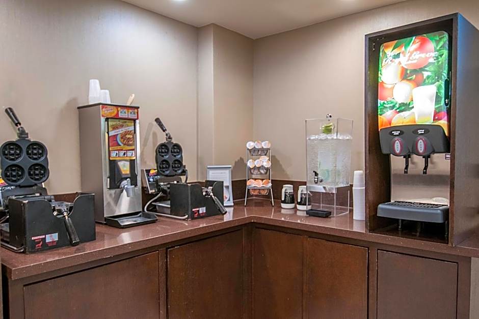Fairfield Inn & Suites by Marriott Dallas Dfw Airport South/Irving