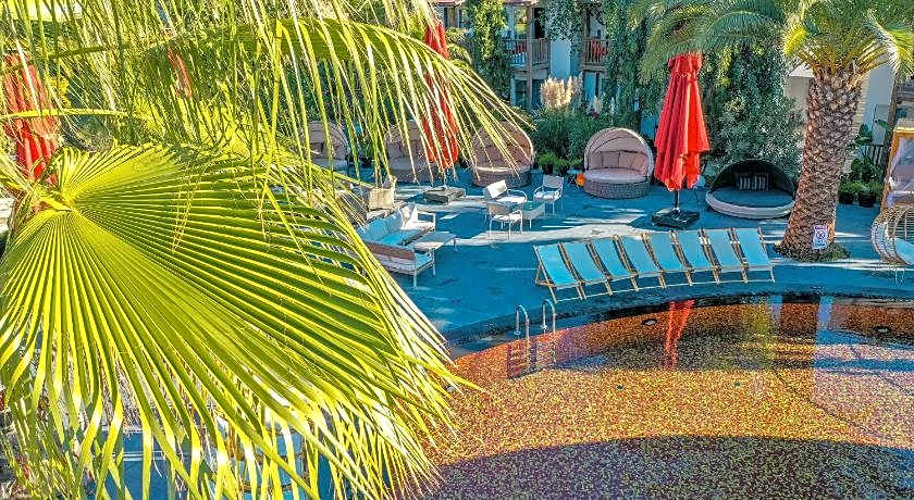 Very Chic Adult Only 18 