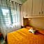 Belvedere Home