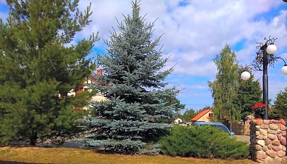Tawerna-Stawiska