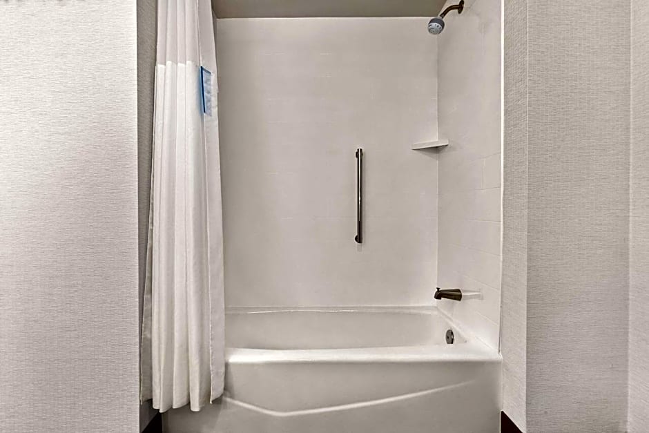 Hampton Inn By Hilton Suites Kansas City Downtown Crossroads