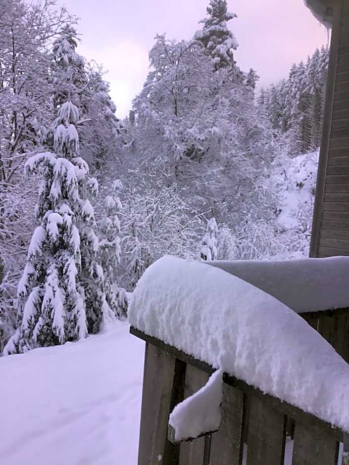 HÔTEL RESTAURANT LA FOURMI