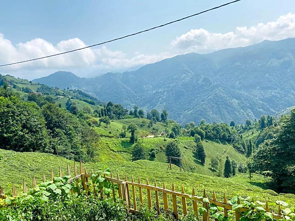 MİNTONA VİLLA SUİT