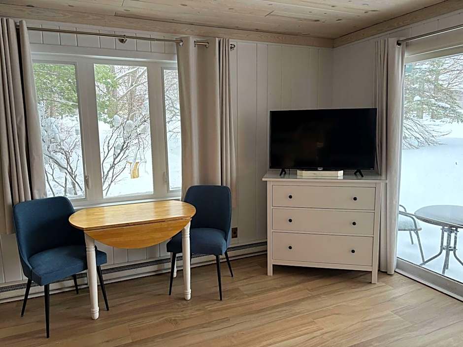Shanty Creek, Condo, Golf ,Sleeps 4, Pets welcome!