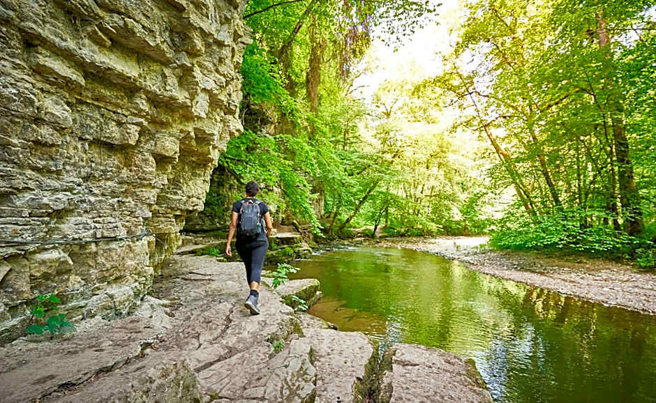 Möhringers Schwarzwald Hotel