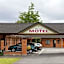 Albert Court Motor Lodge