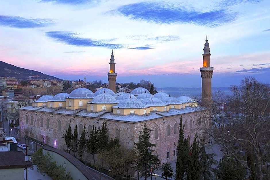 Kent Bursa