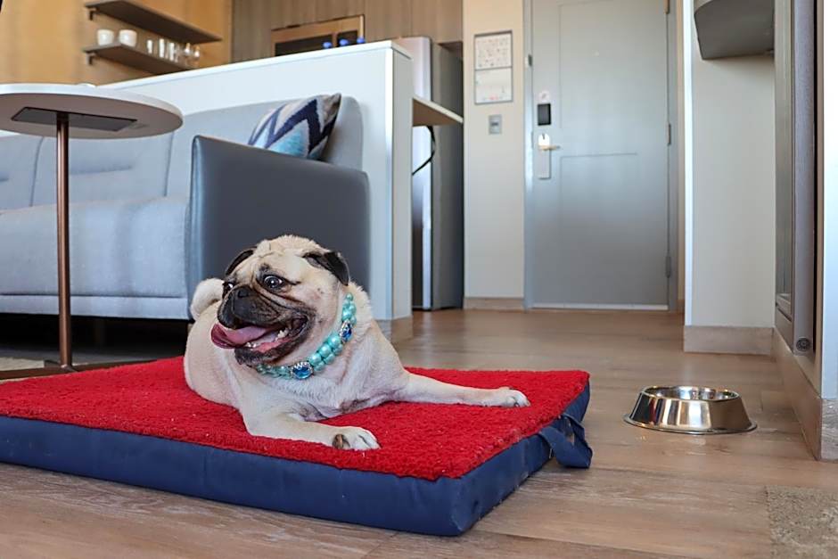 Residence Inn by Marriott Playa Del Carmen