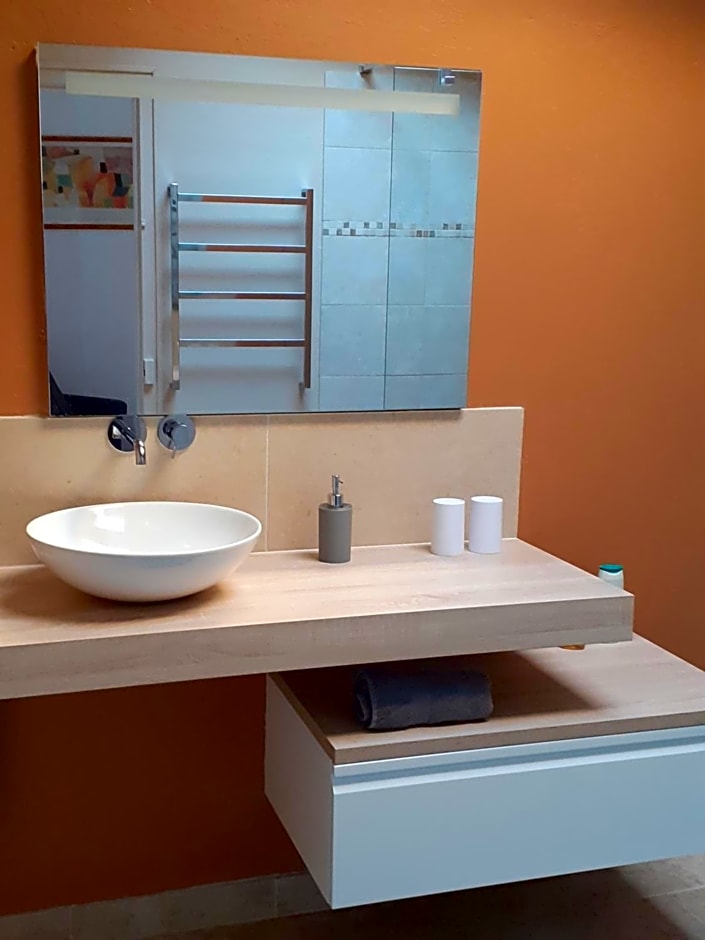 Centre ville, chambre indépendante 20m2 et sa salle de bain privée
