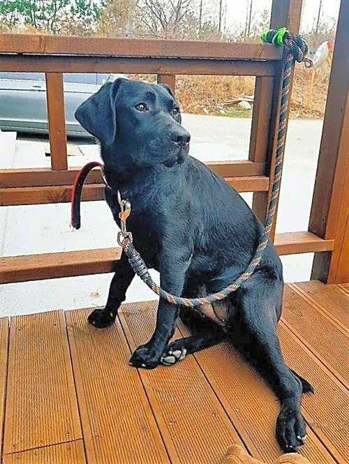 Blue Door Hostel Guesthouse