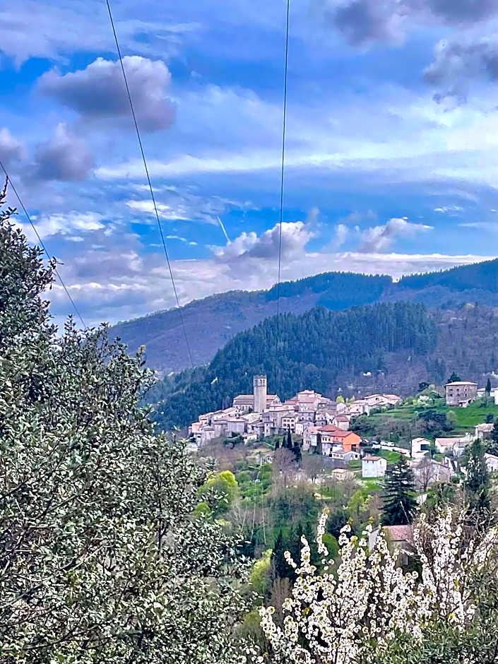Gîte "Lo Fédou d'Antraigues sur Volane"