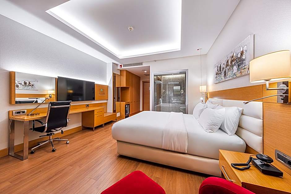 Holiday Inn Ankara - Cukurambar By IHG