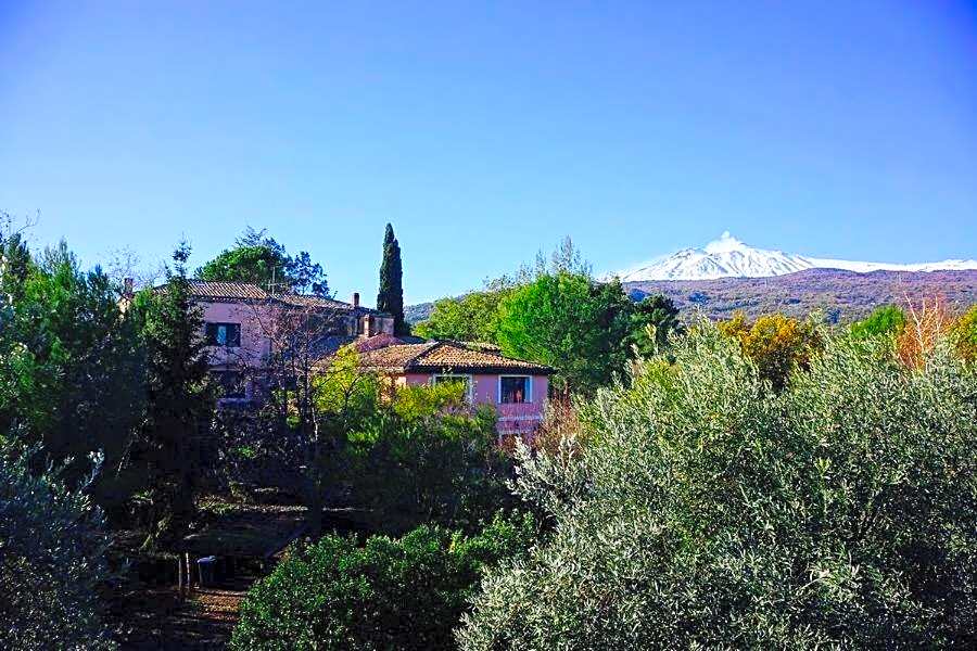 Bed and Breakfast Il Glicine