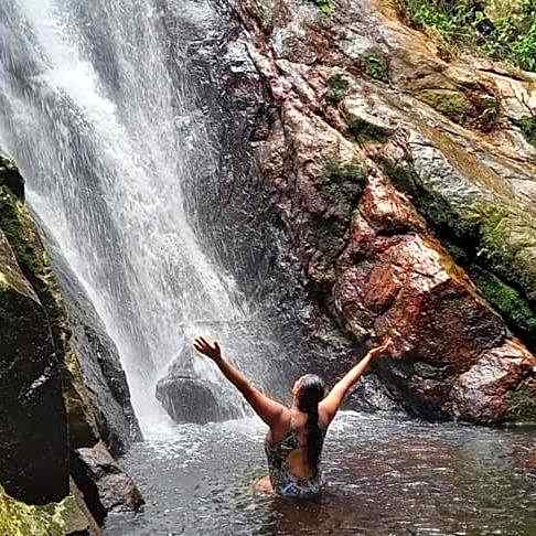 Pousada Floresta verde suítes