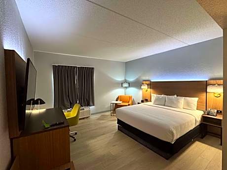 Deluxe King Room with One King Bed - Mobility Accessible/Non-Smoking