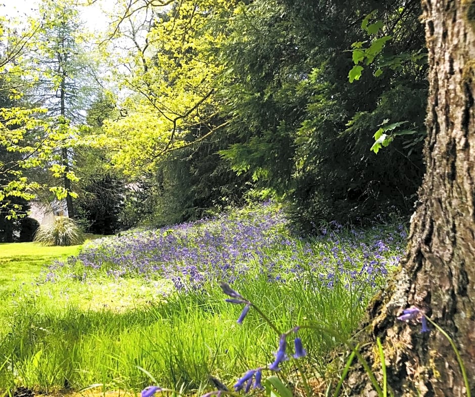 Hillside Log cabin, Ardoch Lodge, Strathyre