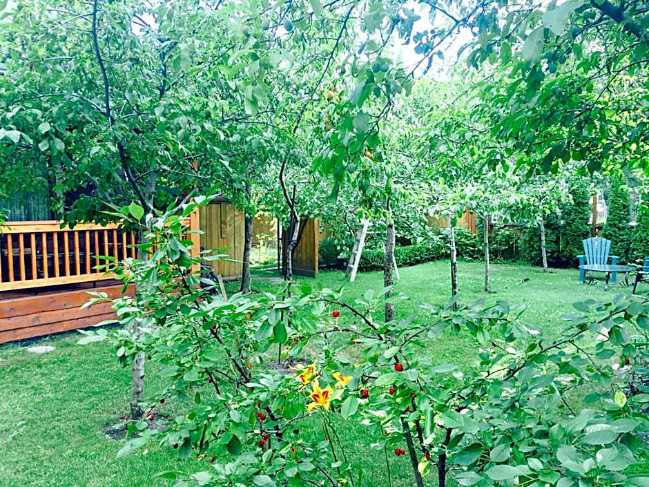 Luna Bed & Breakfast