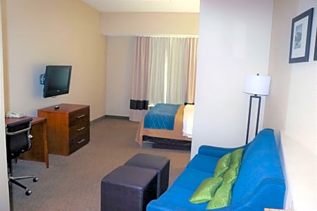 1 King Bed, Suite, Nonsmoking