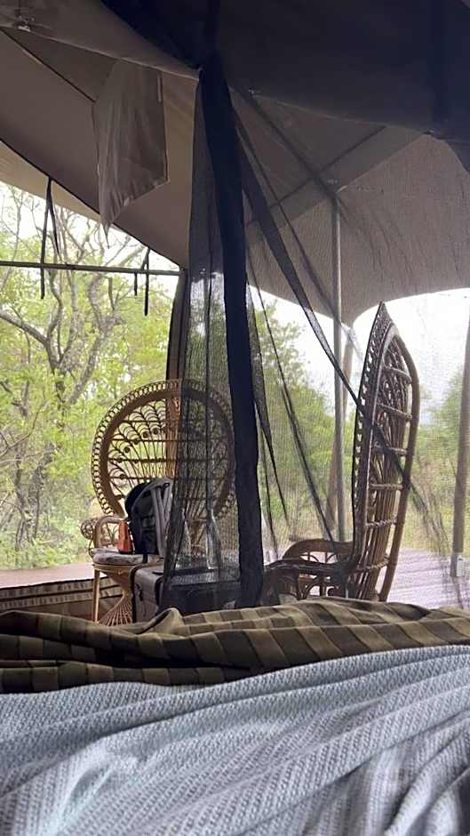 Out in Africa Wildlife Lodge
