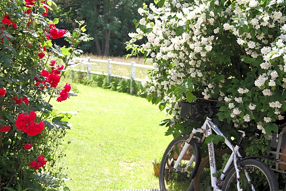 Les Aires en Scènes au bord de l'eau