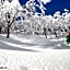 Hotel Green Plaza Hakuba