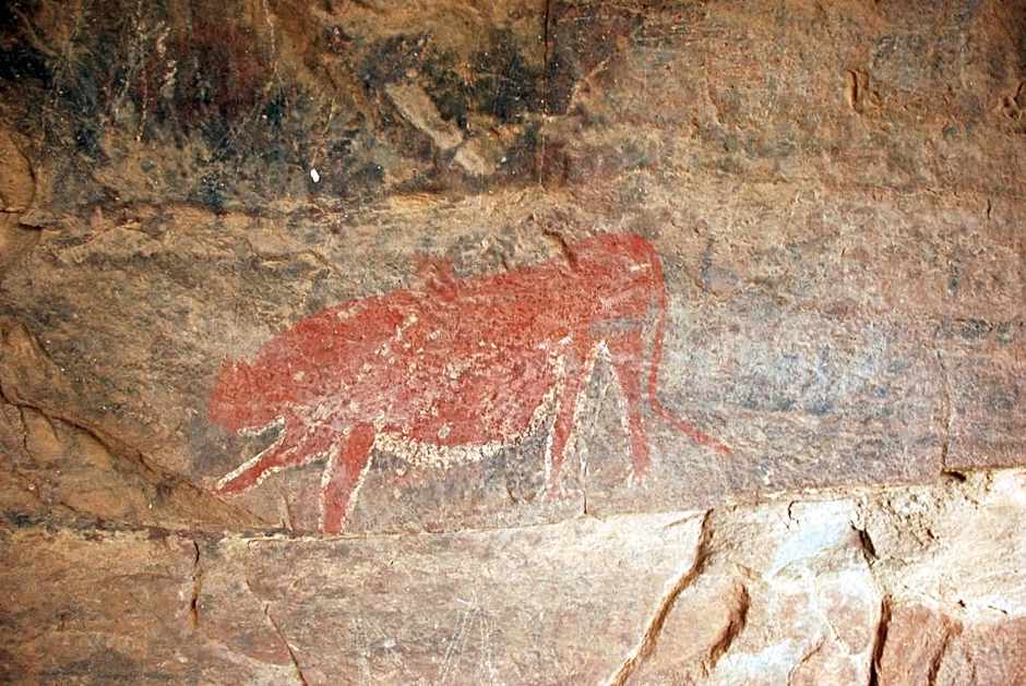 Samara Karoo Reserve