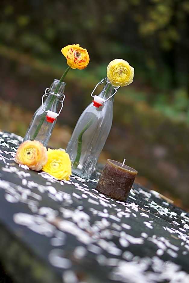 Hotel Haus Kronenthal