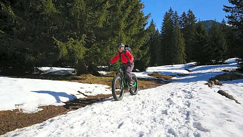 Village Vacances Le Salvagny