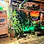 Zizi Home Vibes