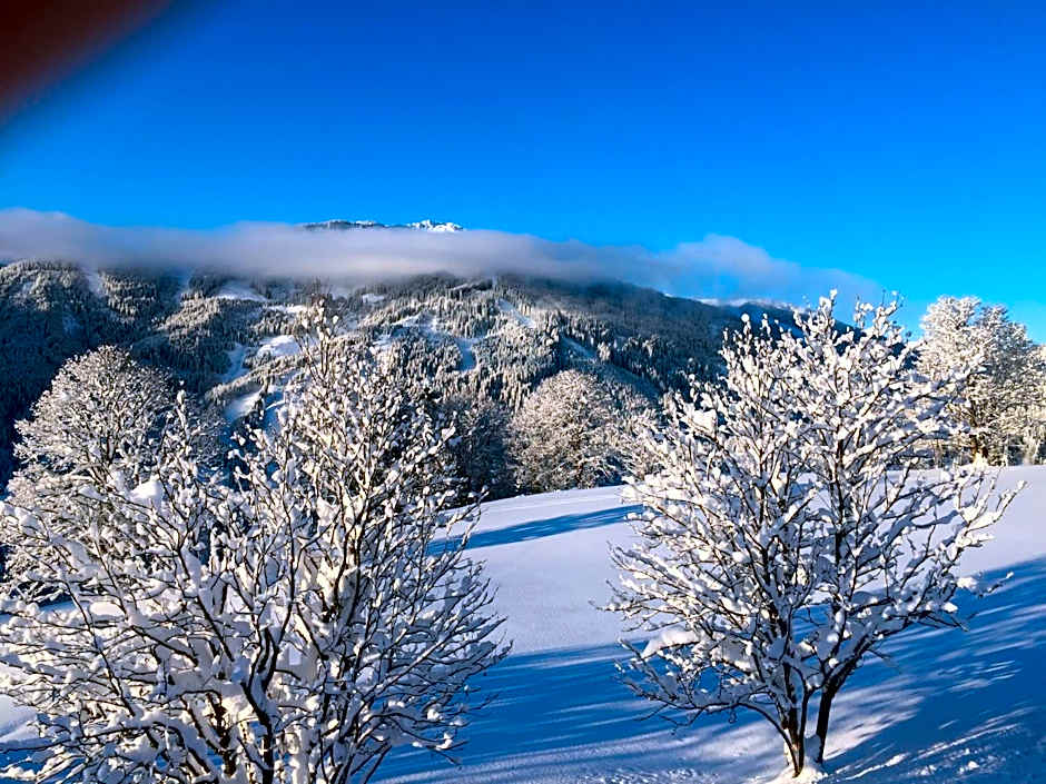 Sonnhof am Hochkönig