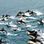 Kaikoura Quality Suites