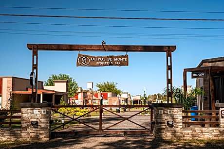 Olivos de Monte