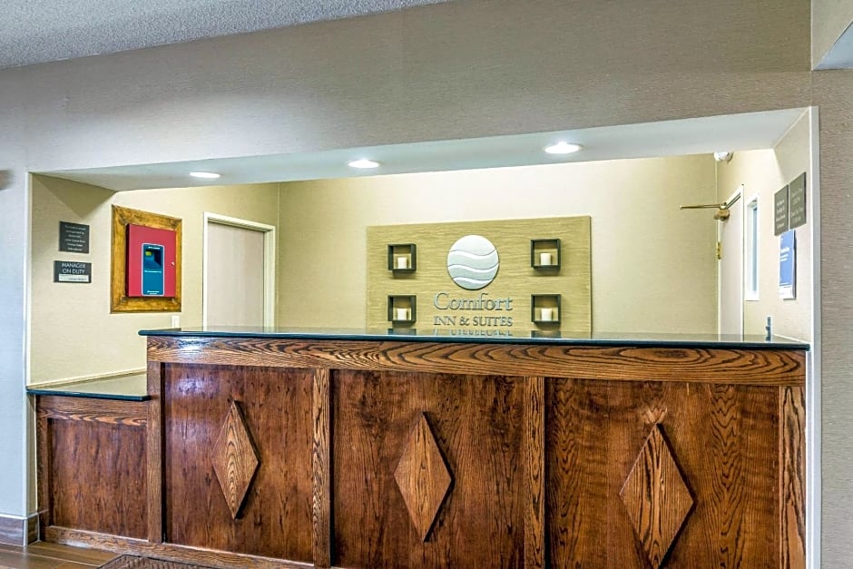 Comfort Inn & Suites - Hannibal