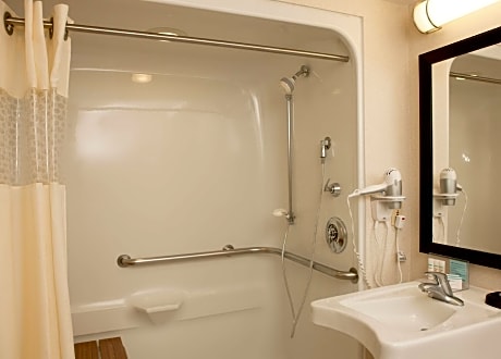 1 Queen Accessible Roll In Shower Non-Smoking