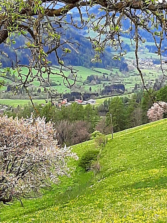 Fruhstuckspension Bischof i d Wiesen