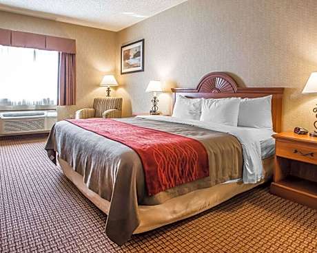 1 King Bed, Nonsmoking