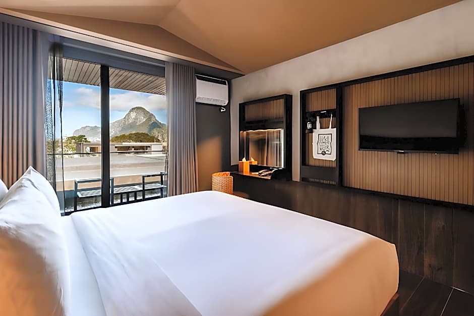 The Funny Lion - El Nido