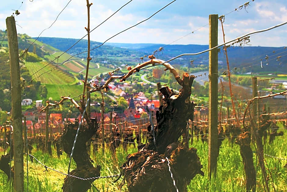 Brunnenhof Randersacker - das kleine Hotel