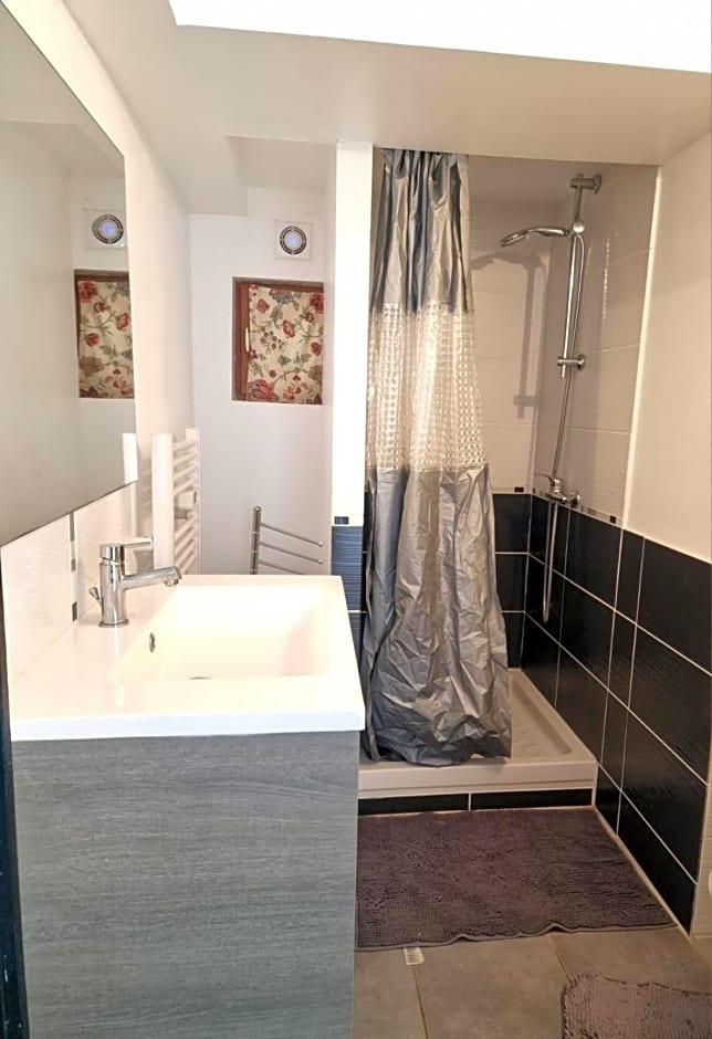 Le camélia de la mazarié