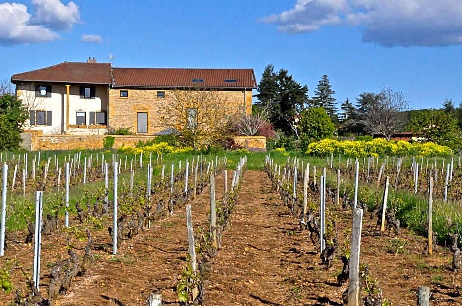 Le Clos du Cher en Beaujolais