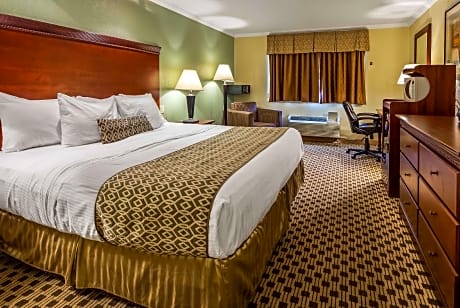 1 King Bed Deluxe Studio Suite Non-Smoking