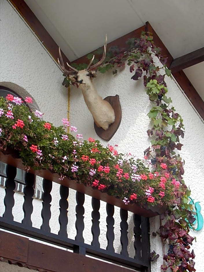 Gasthof lederhose