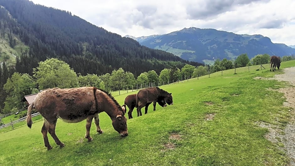 Privatzimmervermietung Foidlbauer