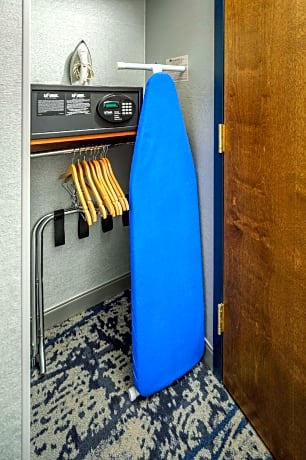1 King Studio Balc Accessible Rollin Shower