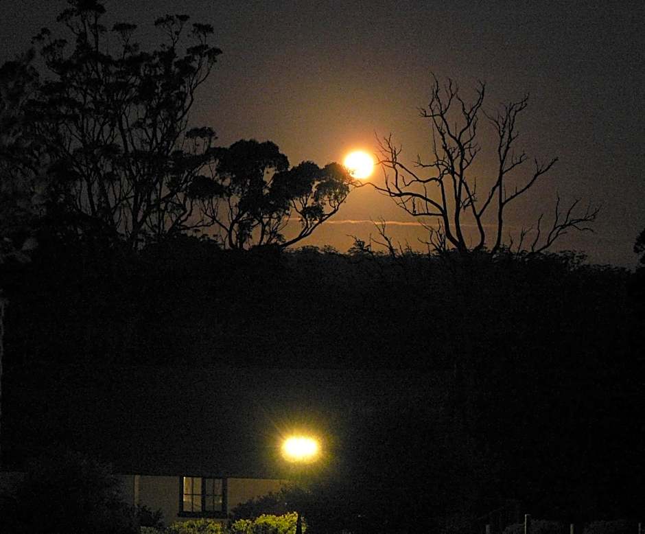 Scarlet Woods Chalets