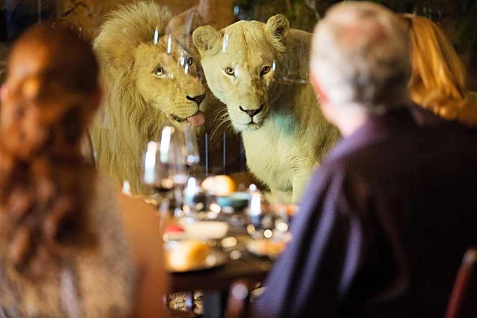 Photo 1 of 50 of Jamala Wildlife Lodge
