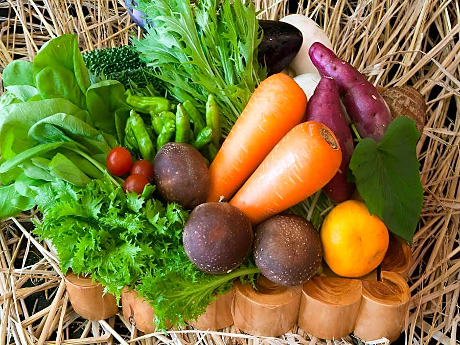 Kirishima miyama hotel